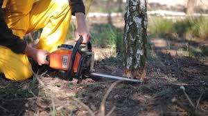 Best Pest Control for Lawns  in Hansen, ID