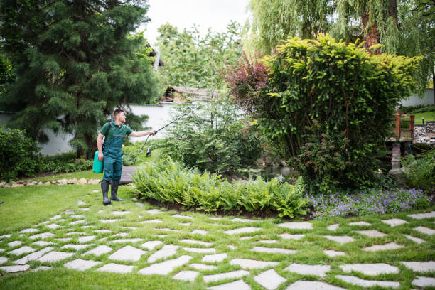 Best Lawn Grading and Leveling  in Hansen, ID